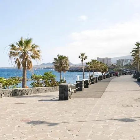 Palmeral De *