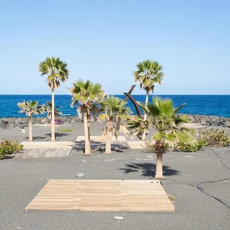 Palmeral De Daire *